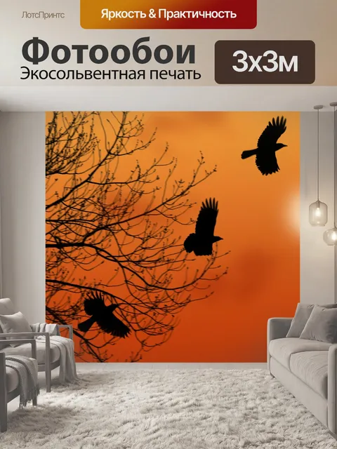 Фотообои Вороны на рассвете