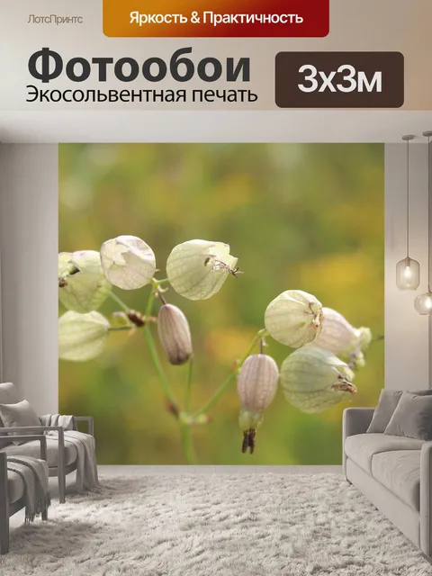 Фотообои Цветы