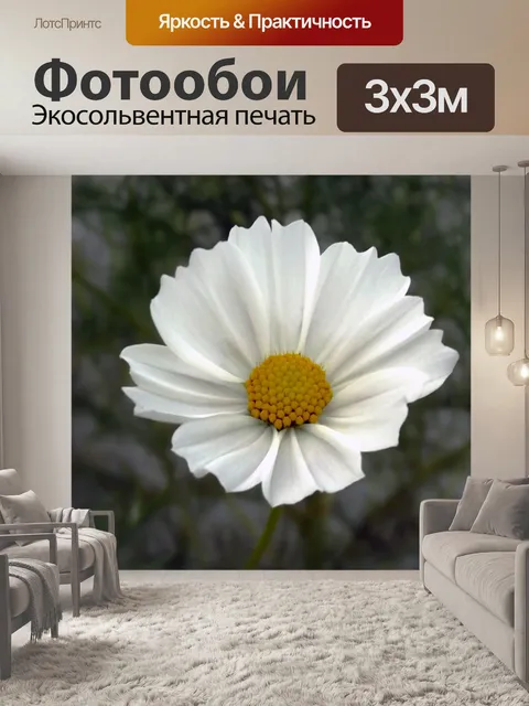 Фотообои Цветок