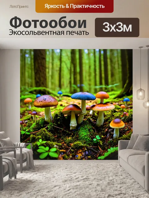 Фотообои лес с грибными полянами, усеянными разноцветными грибами