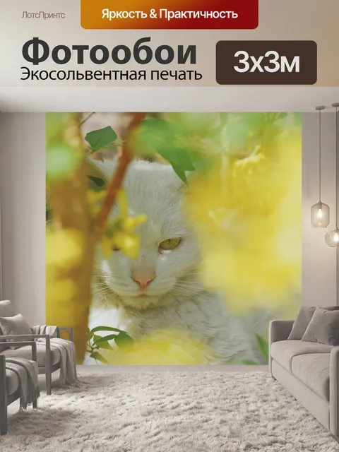 Фотообои Цветы
