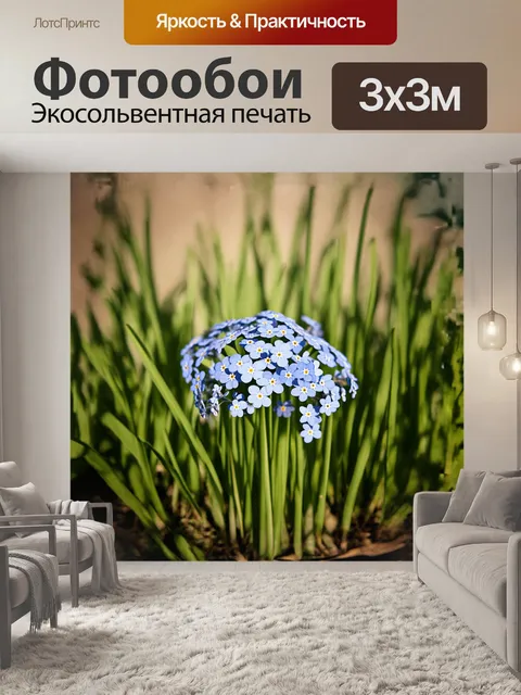 Фотообои группа незабудок, окружённая высокими стеблями трав, запечатлена в стиле минимализма: каждый элемент…