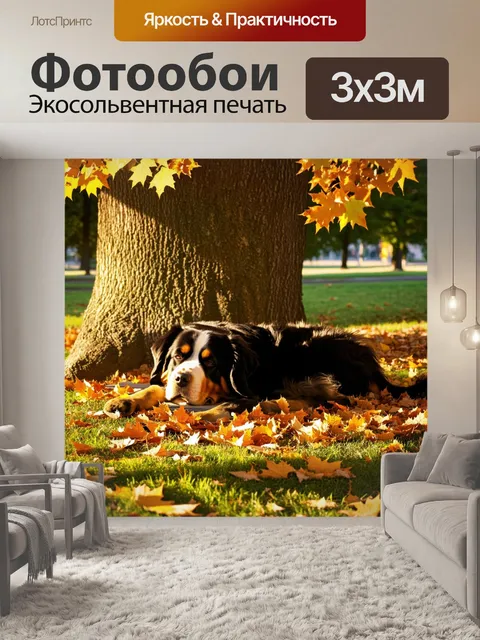 Фотообои бернский зенненхунд, мирно спящий в тени большого дерева в парке