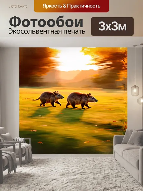 Фотообои вомбаты, медленно передвигающиеся по закатному полю, где облетевшие листья в танце играют с ветерком