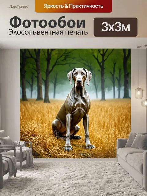 Фотообои веймаранер, сидящий на границе леса и поля, в облачный день