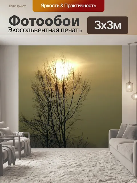 Фотообои Утренний туман