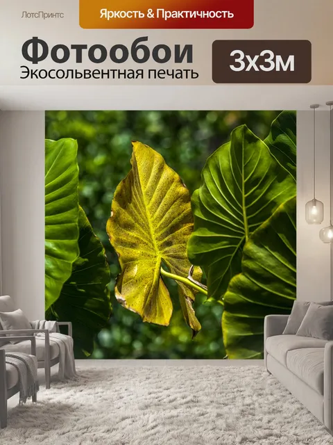 Фотообои Природа