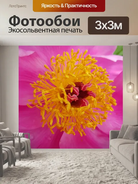 Фотообои Пион