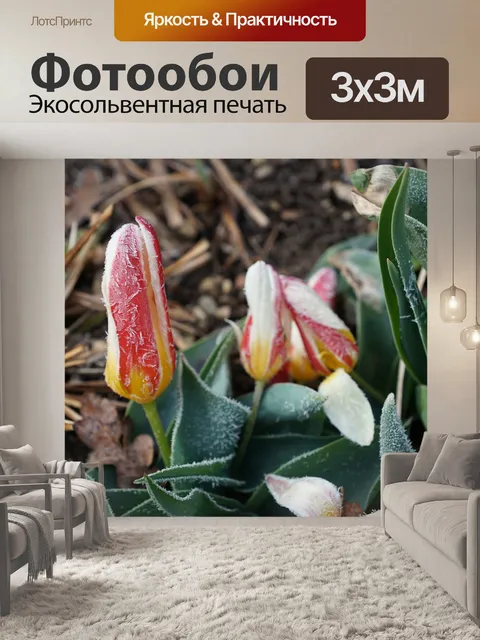 Фотообои Тюльпаны