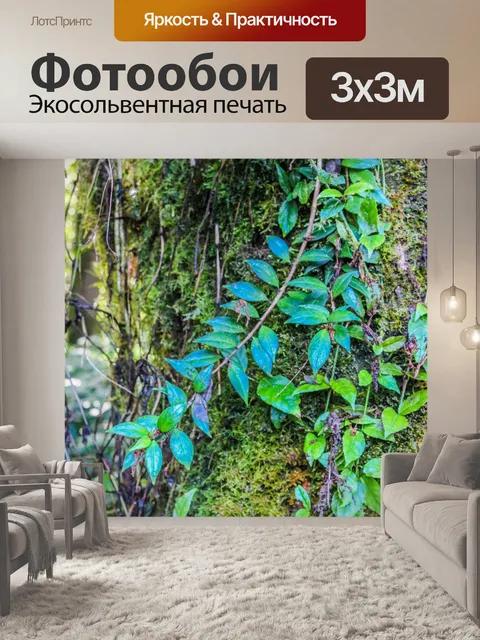 Фотообои Тропический лес в Дои Интанон, Чиангмай