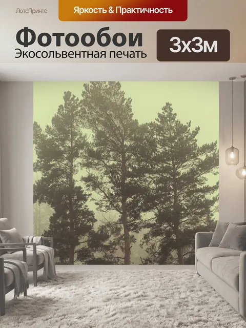 Фотообои Туманный лес