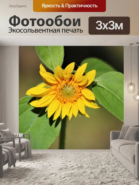 Фотообои Подсолнечник и кузнечик
