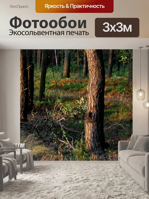 Фотообои Лес
