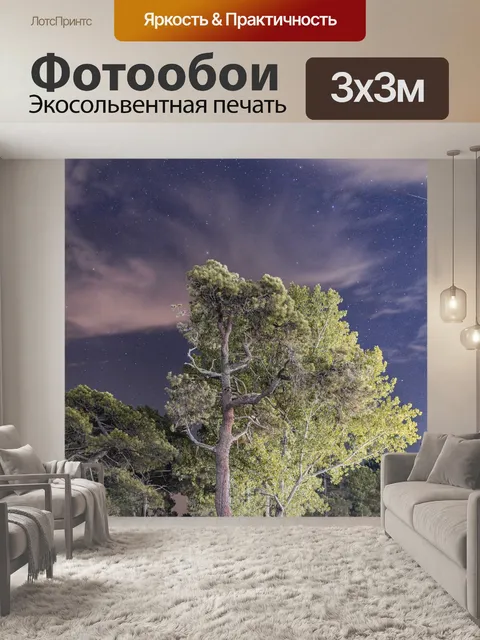 Фотообои Ночь