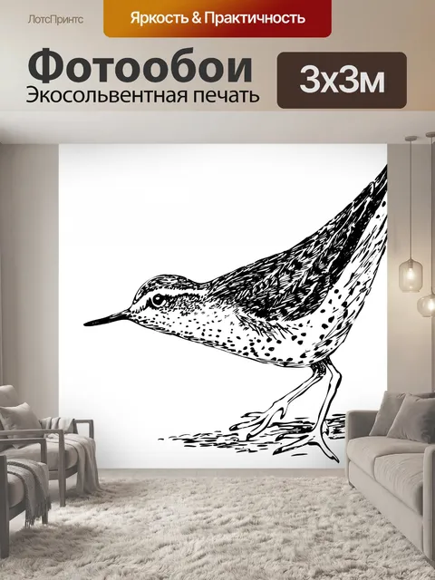 Фотообои Иллюстрация Птица Clipart