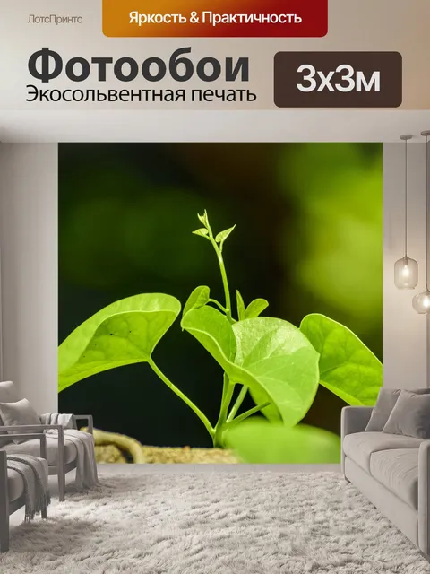 Фотообои Листья