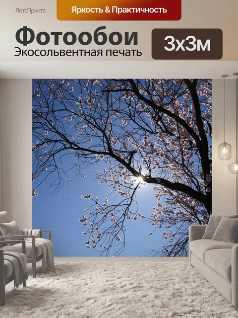 Фотообои Цветок миндаля