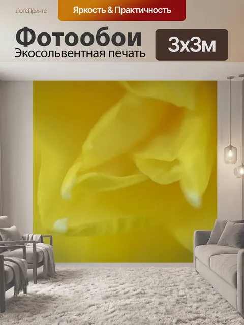 Фотообои Нарцисс
