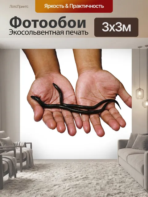 Фотообои Угорь