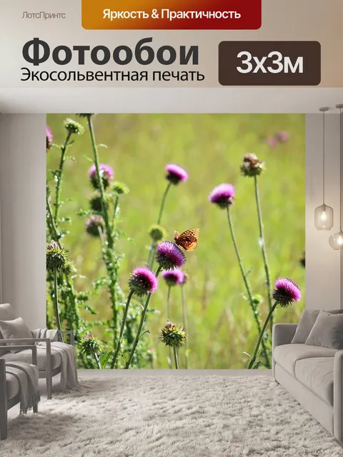 Фотообои Бабочки