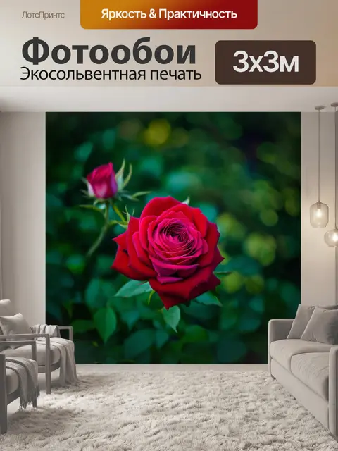 Фотообои розы, добавляющие атмосферы тайны и интриги