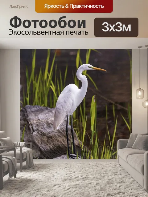 Фотообои Цапля