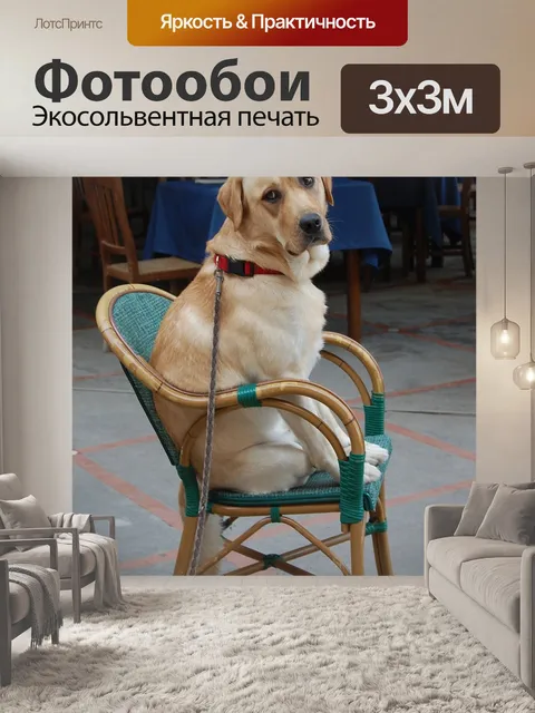 Фотообои Собака
