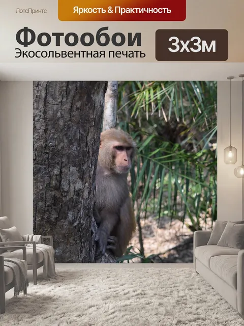Фотообои Лес