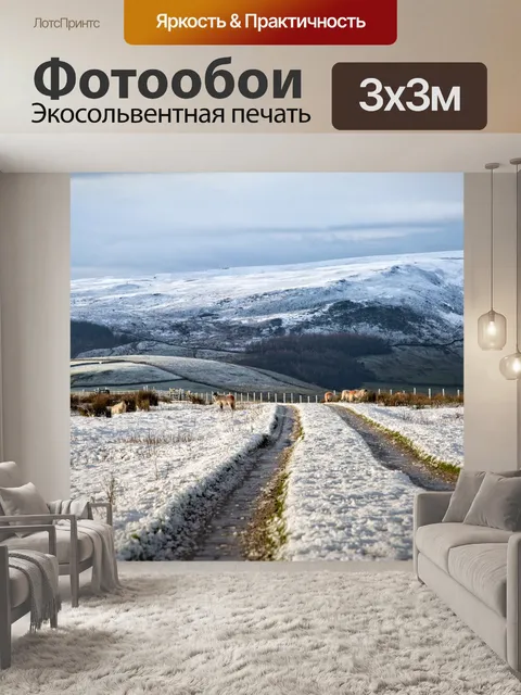 Фотообои Зимний путь