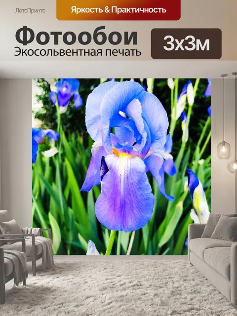 Фотообои Цветок