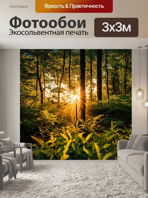 Фотообои закат в лесу, солнечные лучи пробиваются сквозь листву, завораживающий свет и тень