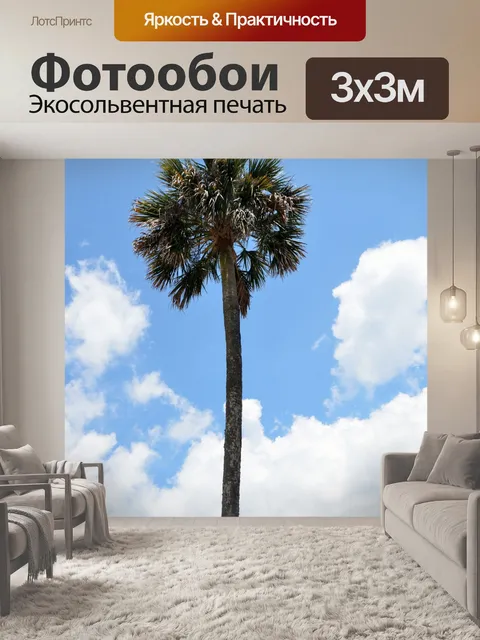 Фотообои Высокий пальма