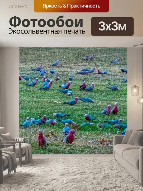 Фотообои Птицы