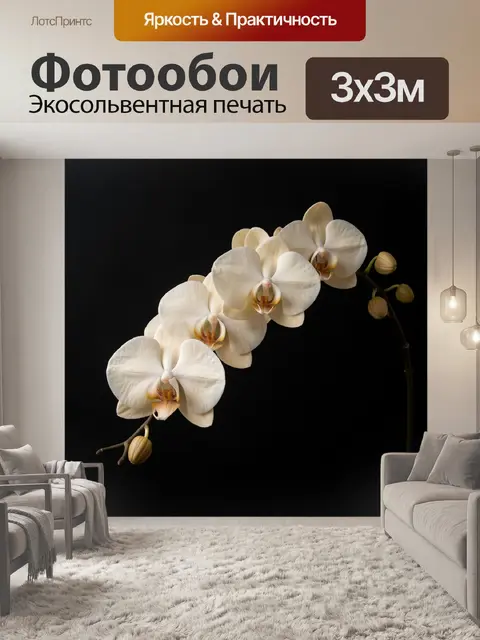 Фотообои Белая орхидея на черном фоне