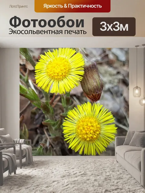 Фотообои Желтые цветы