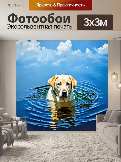 Фотообои лабрадор, плывущий по спокойной воде озера, отражающей небесную синеву и облака