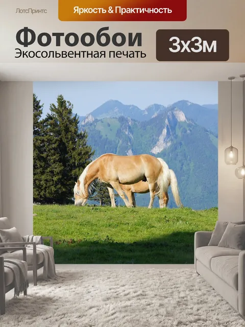 Фотообои Лошади