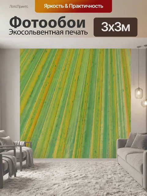 Фотообои Пальмовая текстура
