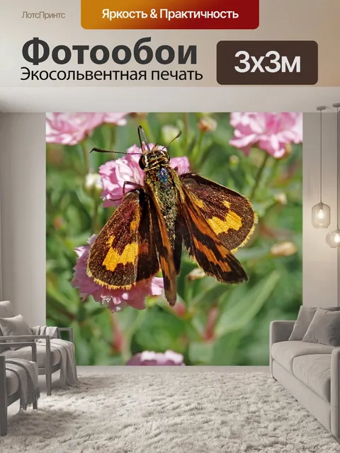 Фотообои Бабочка