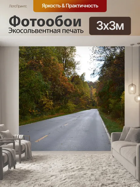 Фотообои Дорога