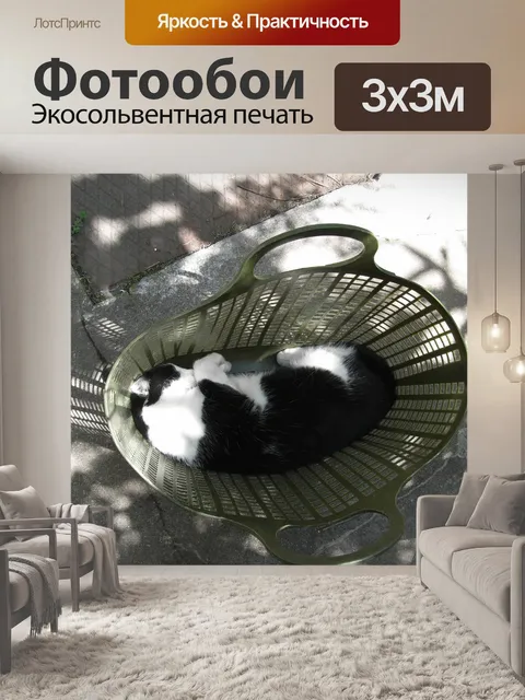 Фотообои Basket Case