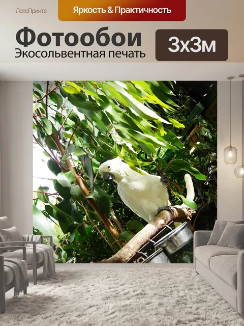 Фотообои Psittacine (птица)
