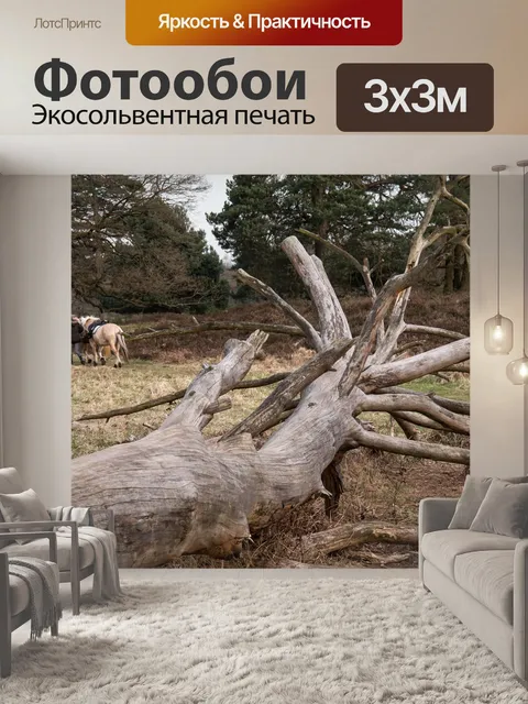 Фотообои Дерево