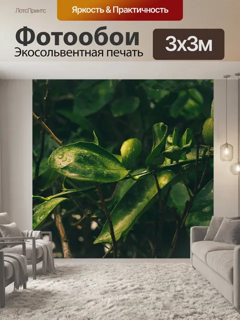 Фотообои Зеленый