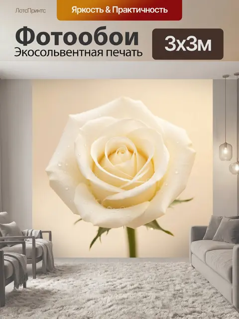 Фотообои Белая роза с каплями росы