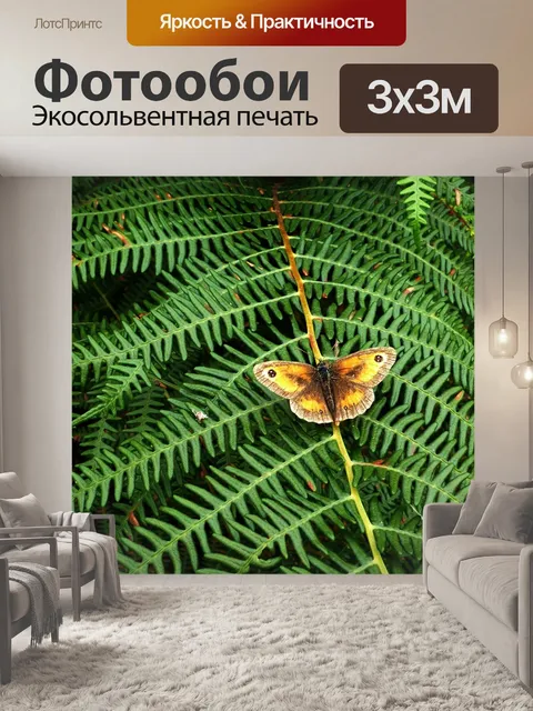 Фотообои Папоротник