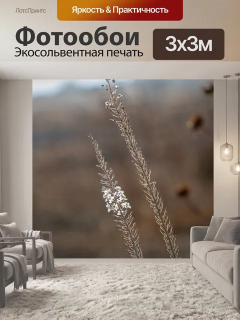 Фотообои Цветы