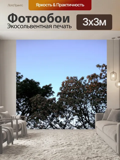 Фотообои Деревья