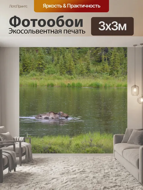 Фотообои Животное