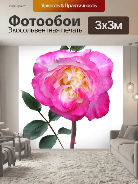 Фотообои Роза